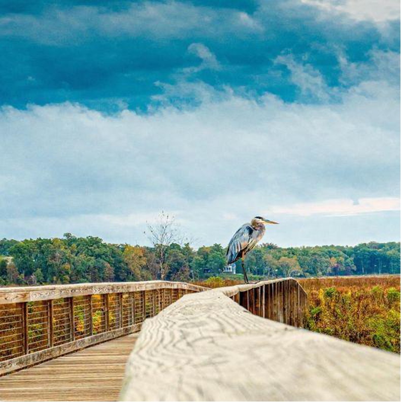 Boardwalks - respecting the environment