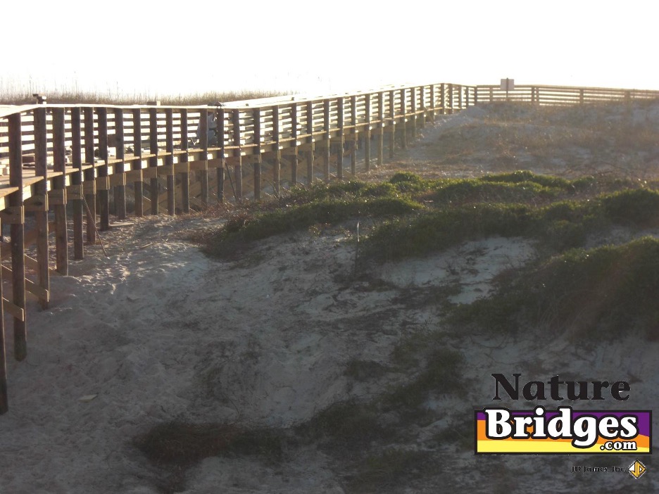 dune crossover raised walkway