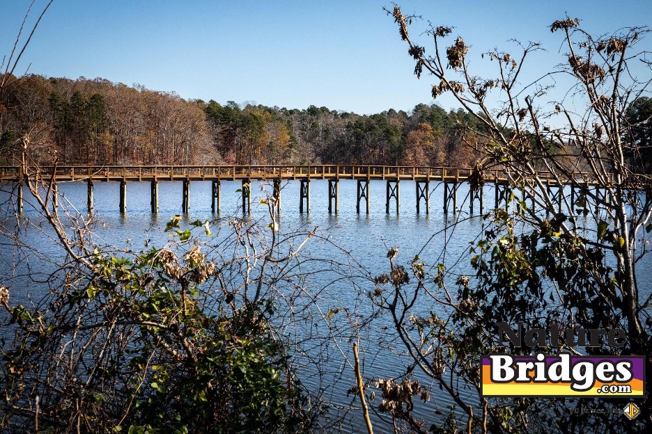 wildlife viewing from boardwalks