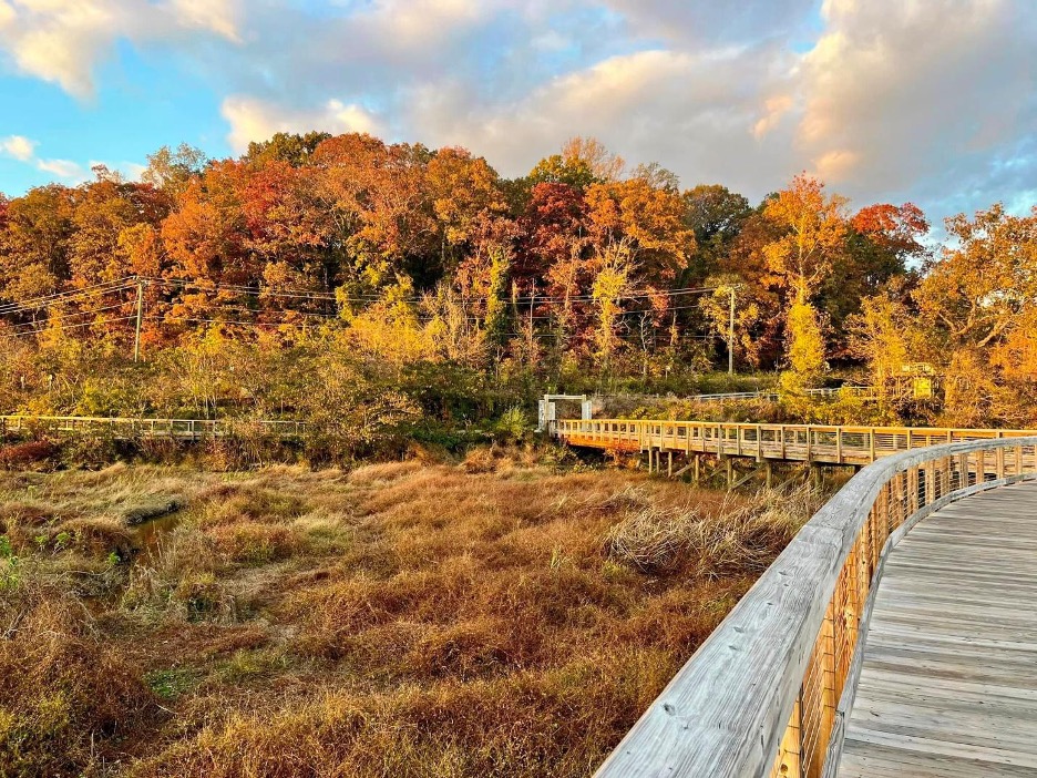 wildlife seasonal patterns viewing