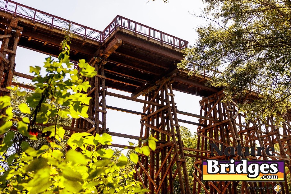 Enhancing Trail Safety Features